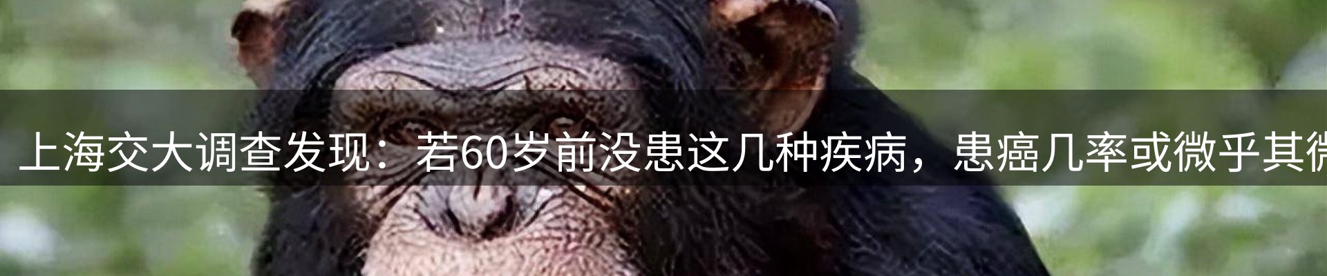 平台快讯